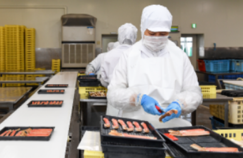 OEM|株式会社山中水産