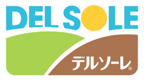 株式会社デルソーレ画像